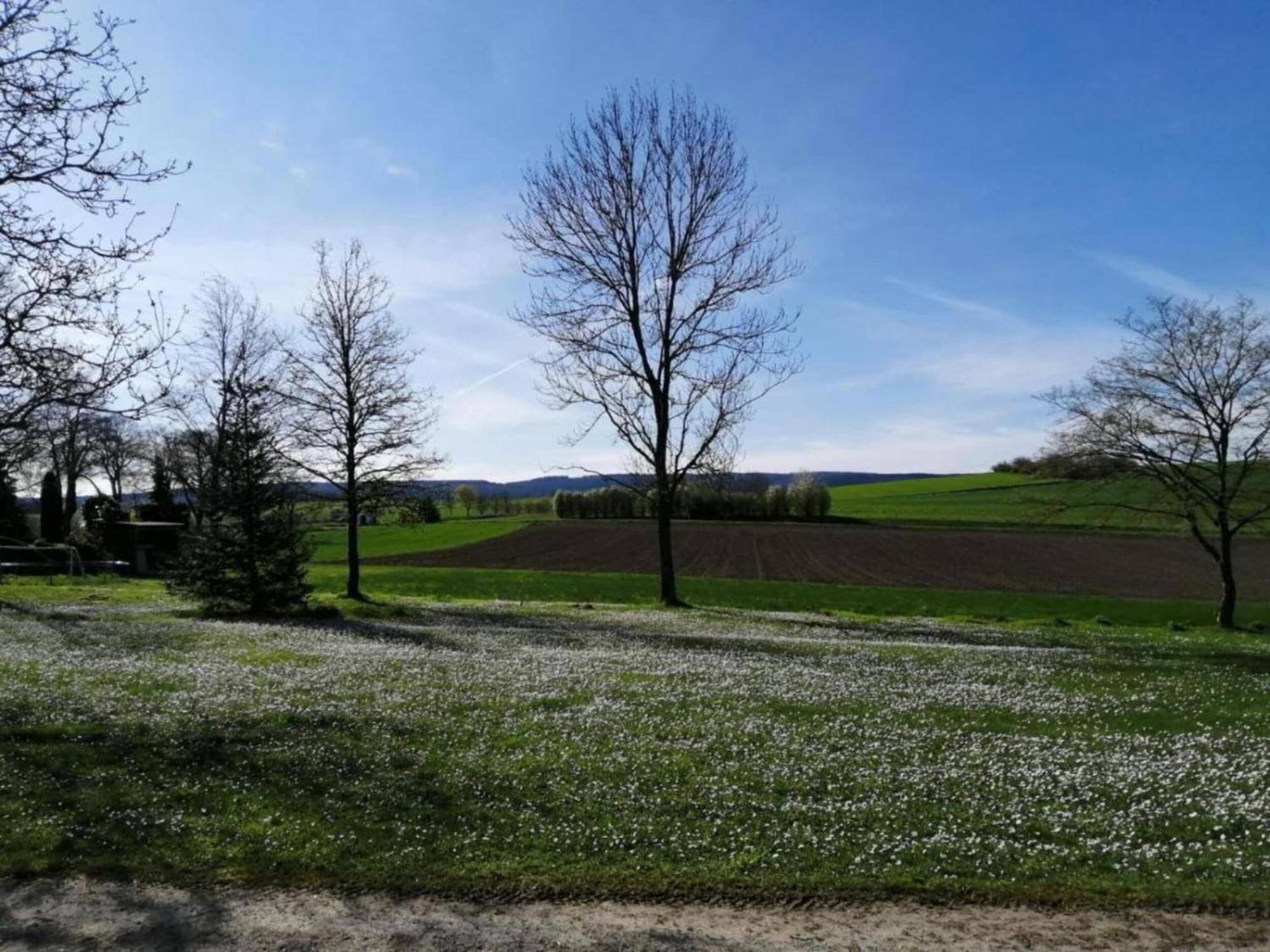 Beautiful Apartment In Morscheid Riedenburg Morbach Esterno foto